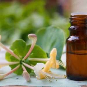 Honeysuckle Essential Oil