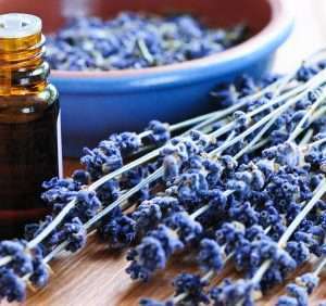 Lavender Essential Oil 40/42