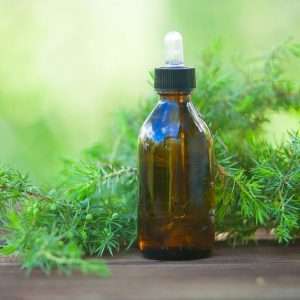 Scotch Pine Essential Oil