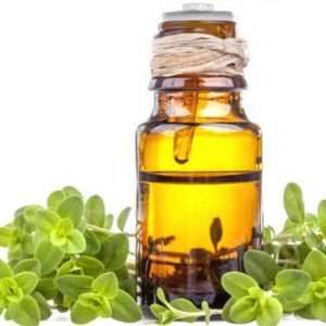 Marjoram Essential Oil Sweet