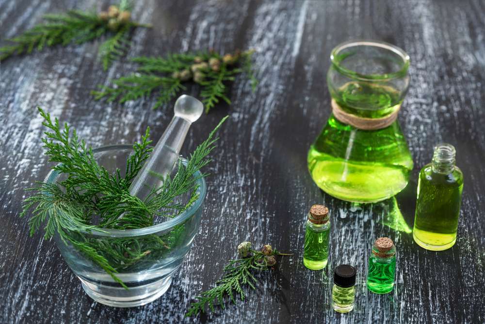 Cypress Essential Oil