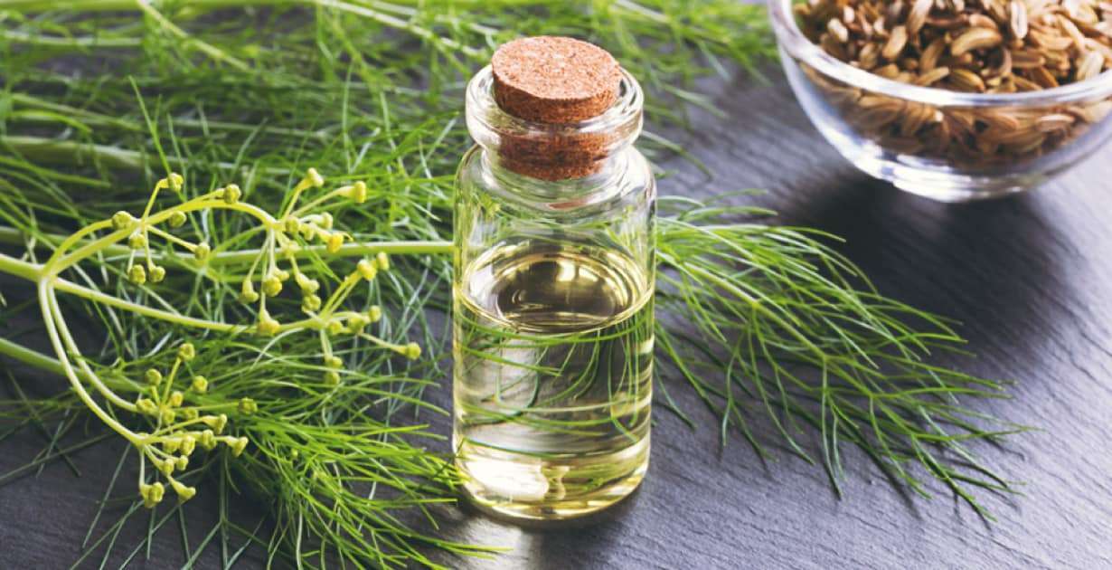 Fennel Essential Oil Bitter