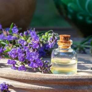 Hyssop Essential Oil