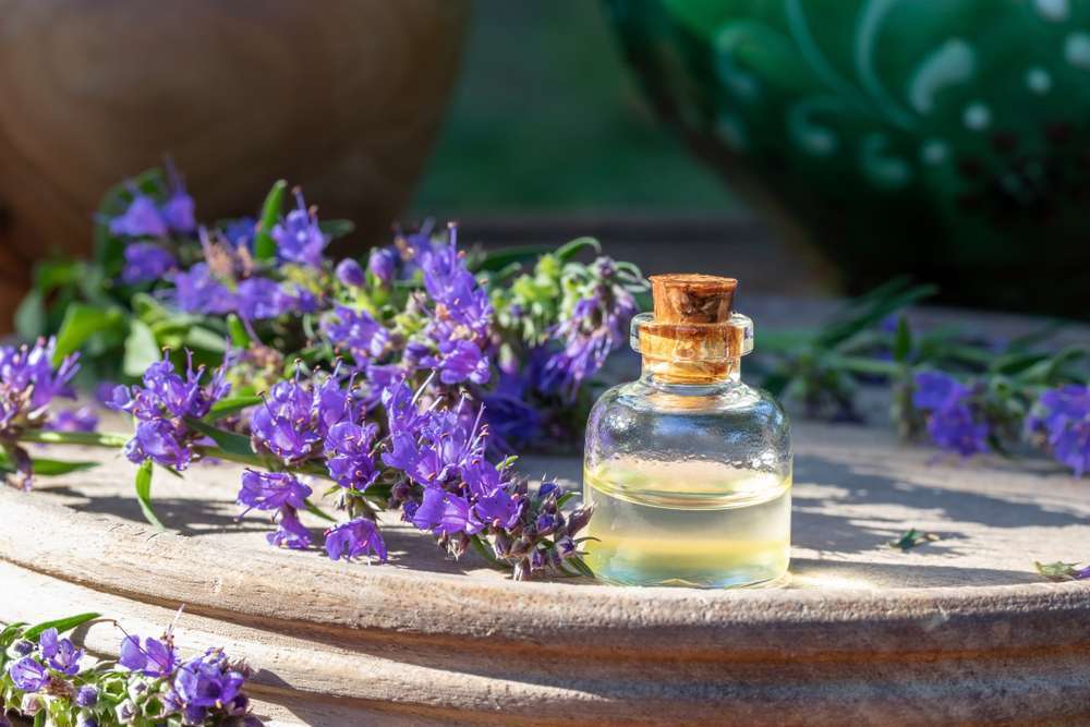 Hyssop Essential Oil