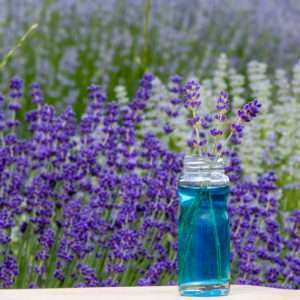 Lavender Essential Oil Bulgaria
