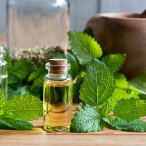 Lemon Balm Essential Oil
