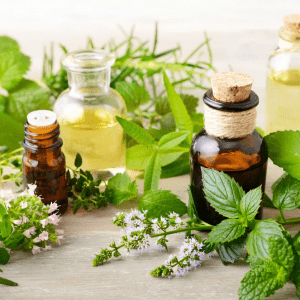 Lemon Verbena Essential Oil Morocco