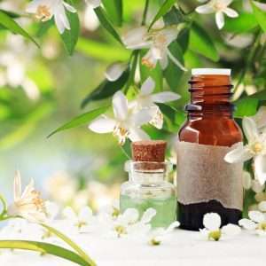 Oregano Essential Oil