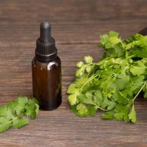 Parsley Leaf Essential Oil
