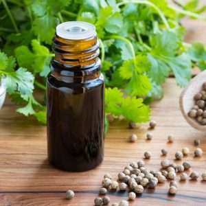 Parsley Seed Essential Oil