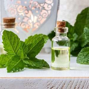 Peppermint Essential Oil (Piperita)