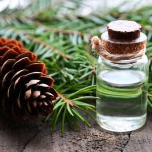 Pine Needle Essential Oil