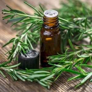 Rosemary Essential Oil Spain