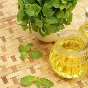 Spearmint Essential Oil