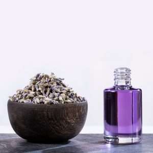 Spike Lavender Essential Oil