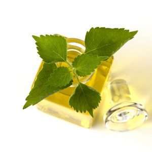 Spikenard Essential Oil