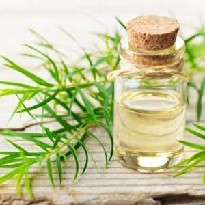 Tea Tree Essential Oil