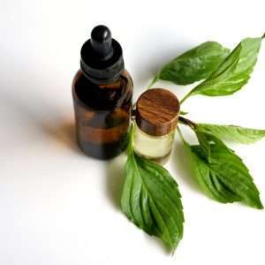 Thyme Essential Oil Red