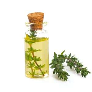 Thyme Essential Oil White