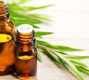 Vetiver Essential Oil North India