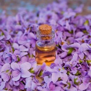 Violet Leaf Essential Oil