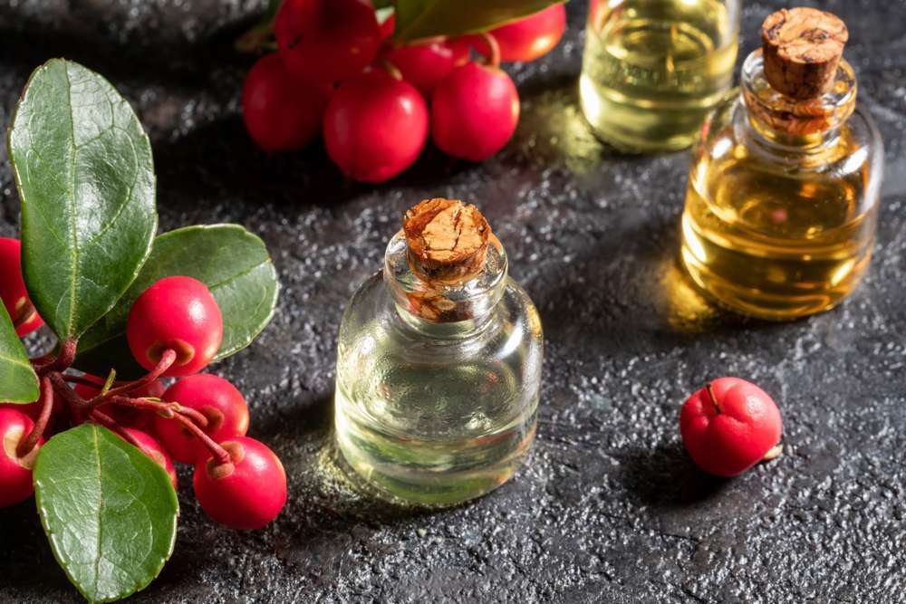 Wintergreen Essential Oil