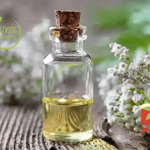 Valerian Root Essential Oil (Nepal)