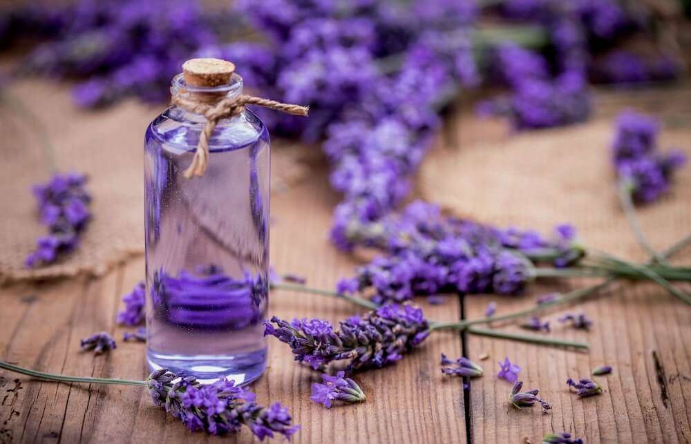 French Lavender Fragrance