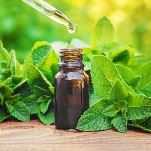 Peppermint Essential Oil