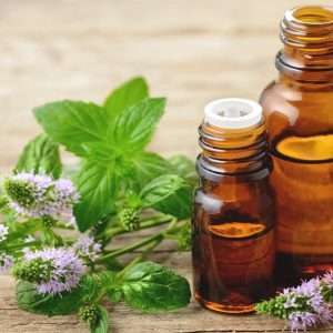 Mentha Piperita Essential Oil