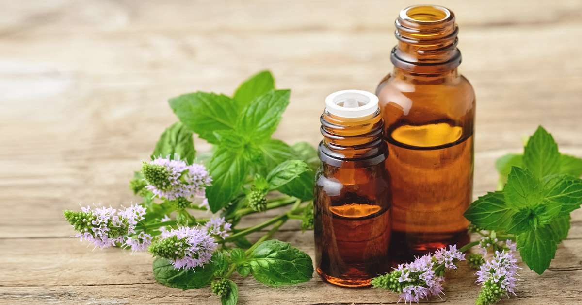 Mentha Piperita Essential Oil