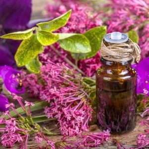 Sage Essential Oil