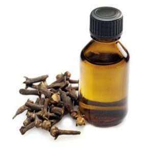 Clove Leaf Essential OilClove Leaf Essential Oil