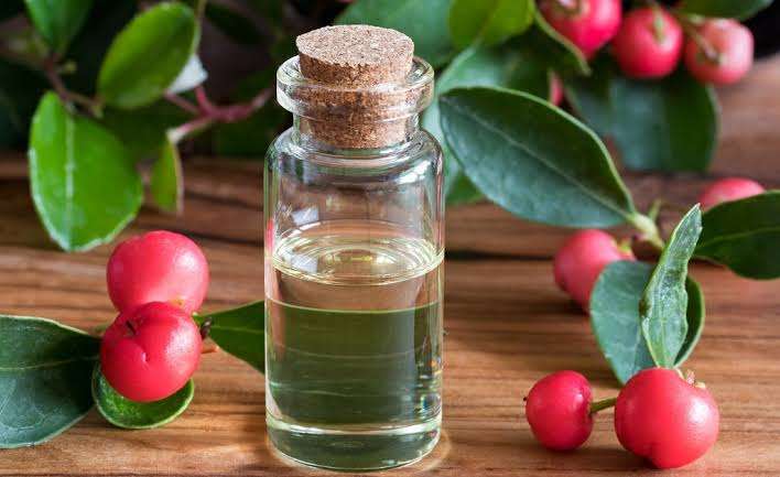 Winter Green Fragrance