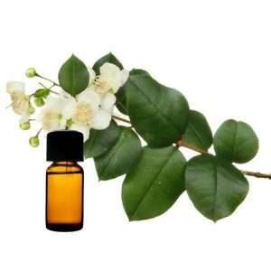 Lemon Myrtle Essential Oil