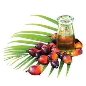 Palm Kernel Carrier Oil