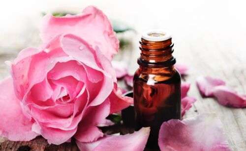 Bulgarian Rose Fragrance
